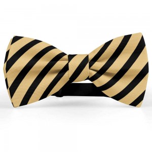 Papion barbati, bej-blond, dungi negre late oblice
