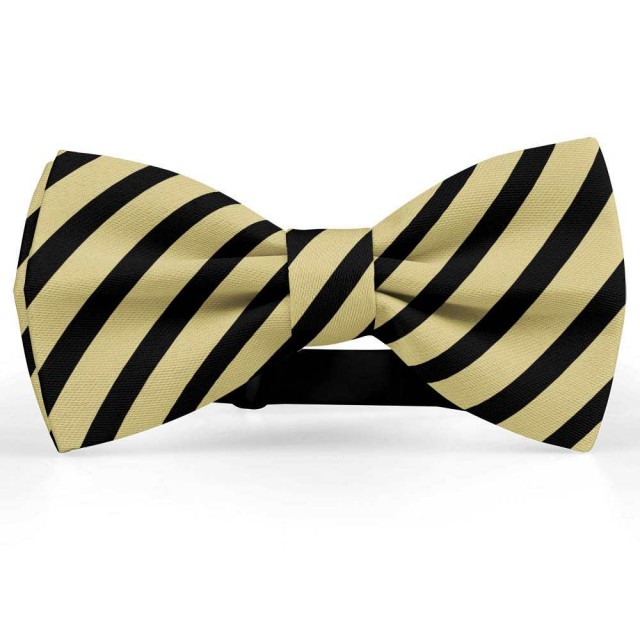 Papion barbati, crem-chamois, dungi negre late oblice