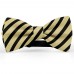 Papion barbati, crem-chamois, dungi negre late oblice