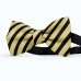 Papion barbati, crem-chamois, dungi negre late oblice