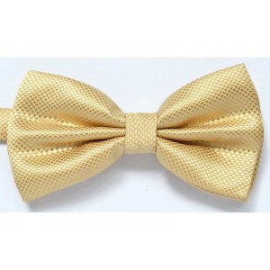  Papion butterfly, crem, striatii fine