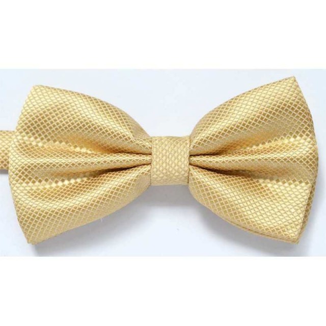  Papion butterfly, crem, striatii fine