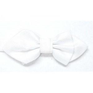  Papion diamant BERTA