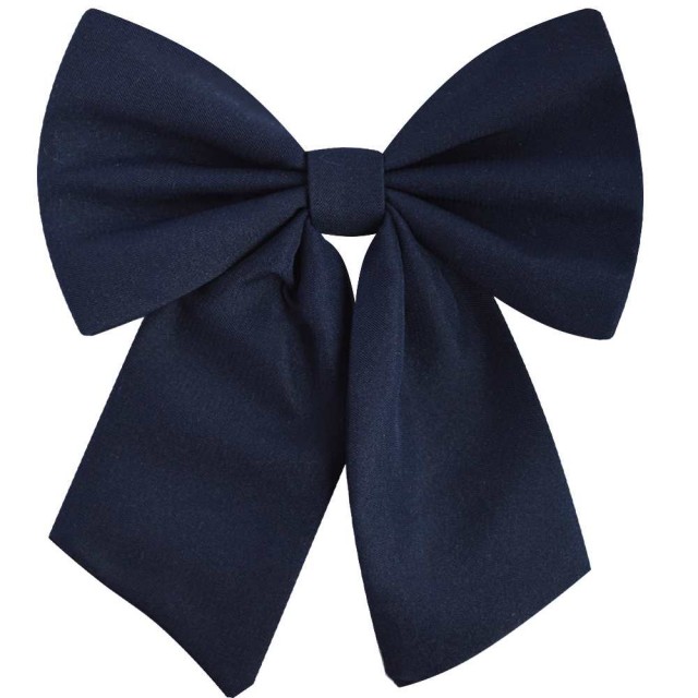Papion dama, bleumarin
