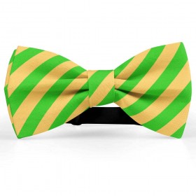 Papion barbati, galben-asfintit, dungi oblice verde-mar