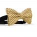 Papion galben blond, buline mici