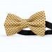 Papion galben blond, buline mici