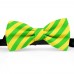 Papion barbati, galben-imperial, dungi oblice verde-mar