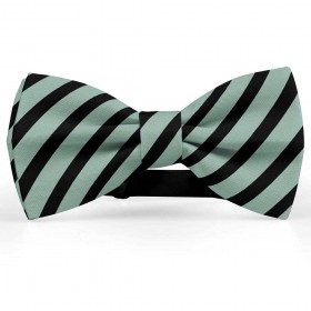 Papion barbati, gri-celadon, dungi negre late oblice