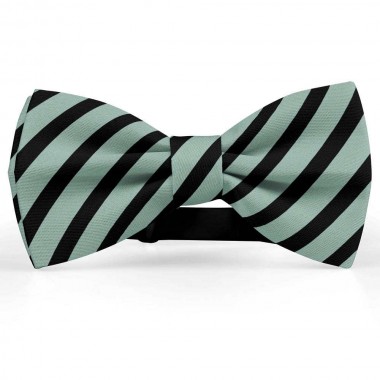 Papion barbati, gri-celadon, dungi negre late oblice