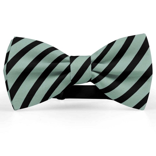 Papion barbati, gri-celadon, dungi negre late oblice