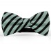 Papion barbati, gri-celadon, dungi negre late oblice