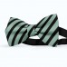 Papion barbati, gri-celadon, dungi negre late oblice