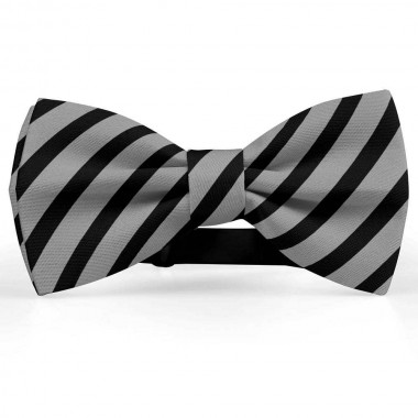 Papion barbati, gri-fier, dungi negre late oblice