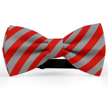 Papion butterfly, gri-fier, dungi late rosu-mac