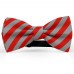 Papion butterfly, gri-fier, dungi late rosu-mac