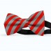 Papion butterfly, gri-fier, dungi late rosu-mac