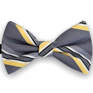 Papion barbati gri fier, dungi galbene, butterfly