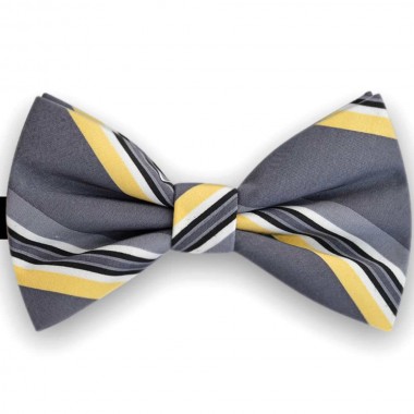 Papion barbati gri fier, dungi galbene, butterfly