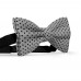 Papion gri-fier, buline mici