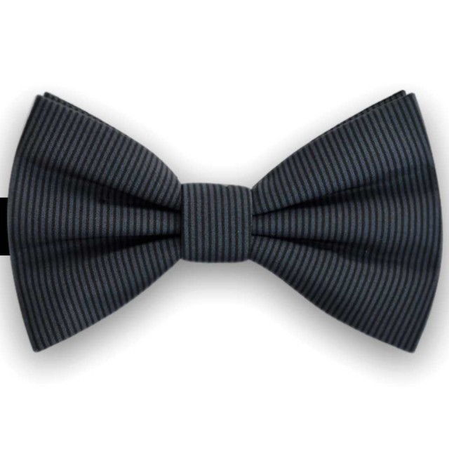 Papion barbati, gri petrol, imprimeuri Pinstripe