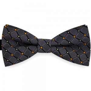 Papion barbati gri, clasic, imprimeu forme geometrice