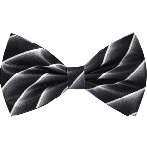 Papion gri, dungi albe, butterfly
