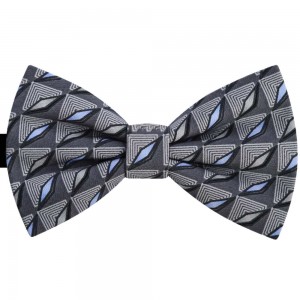 Papion gri, romburi bleu