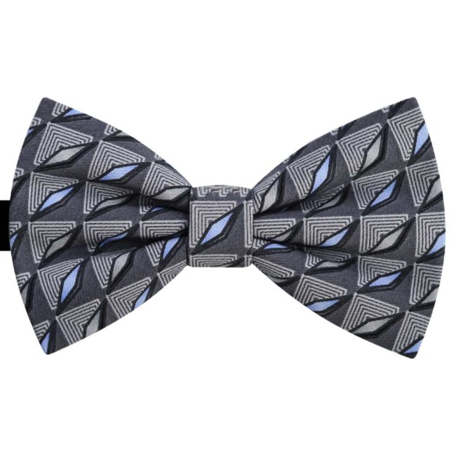 Papion gri, romburi bleu