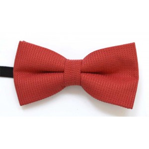 Papion handmade MELANIA