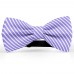 Papion butterfly, mov-lavanda, imprimeu dungi albe inguste