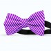 Papion butterfly, violet, imprimeu dungi albe inguste