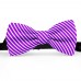 Papion butterfly, violet, imprimeu dungi albe inguste