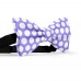 Papion mov-lavanda, buline albe mari