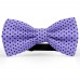 Papion mov-lavanda, buline mici