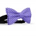 Papion mov-lavanda, buline mici