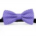 Papion mov-lavanda, buline mici