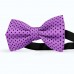 Papion mov-liliac, buline mici