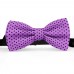 Papion mov-liliac, buline mici