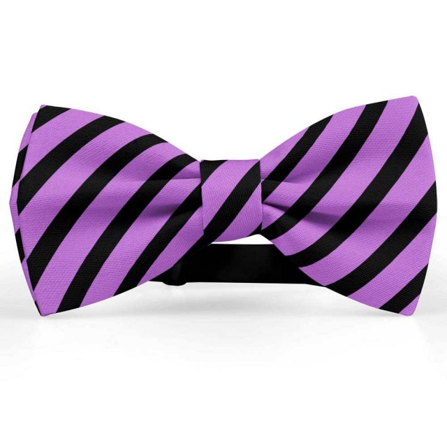 Papion barbati, mov-liliac, dungi negre late oblice