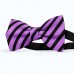 Papion barbati, mov-liliac, dungi negre late oblice