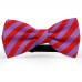 Papion butterfly, mov-ametist, dungi late rosu-mac