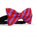 Papion butterfly, mov-ametist, dungi late rosu-mac
