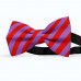 Papion butterfly, mov-ametist, dungi late rosu-mac
