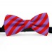 Papion butterfly, mov-ametist, dungi late rosu-mac