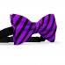 Papion barbati, violet, dungi negre late oblice