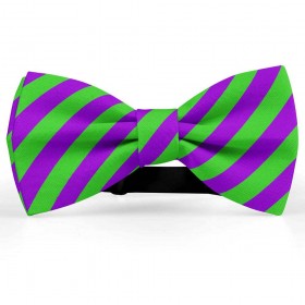 Papion barbati, violet, dungi oblice verde-mar