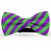 Papion barbati, violet, dungi oblice verde-mar