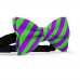 Papion barbati, violet, dungi oblice verde-mar