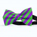 Papion barbati, violet, dungi oblice verde-mar